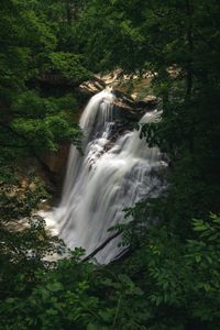 Waterfall among the leaves in the forest in Cuyahoga Valley National Park