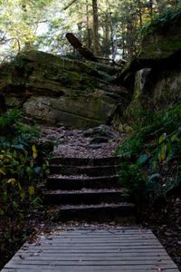 Stone steps in the forest in Cuyahoga Valley National Park