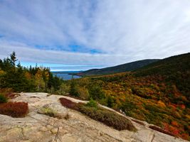Mountain view of the autumn forest in Acadia National Park