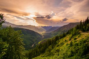 River flowing through green areas of Glacier National Park during golden hour