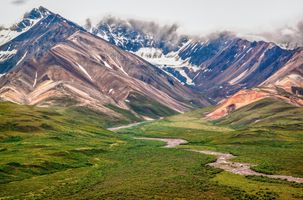 View of green glades in the foothills of the mountains in Denali National Park and Preserve