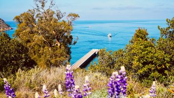 A beautiful view of the harbor on Santa Cruz Island in Channel Islands National Park