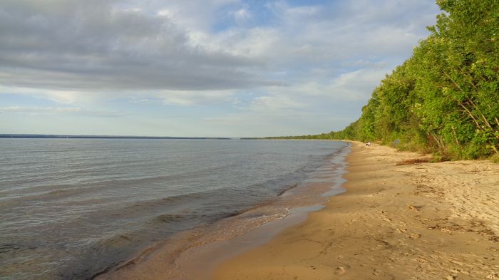 Densely wooded beach in Brimley State Park