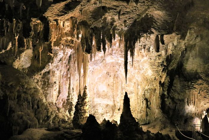 Stalagmites in Carlsbad Caverns National Park
